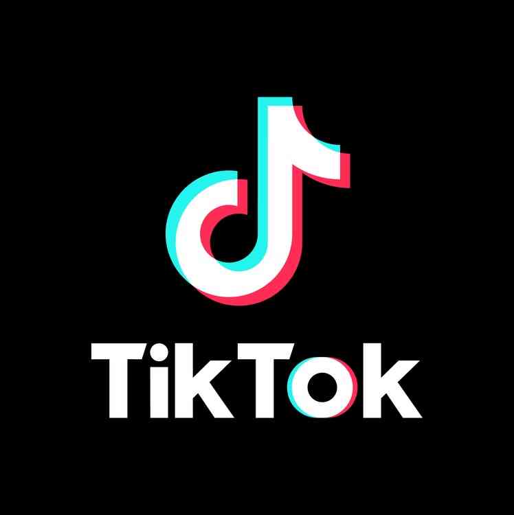 tiktok 18 2024 apk download media fire