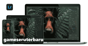 Lightroom for PC 