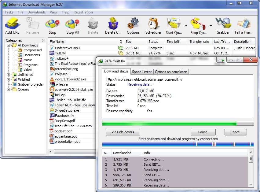 IDM Download
