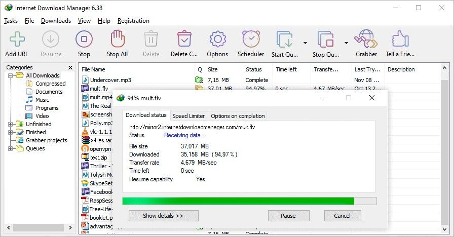 Download IDM 